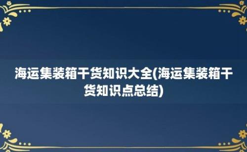 海运集装箱干货知识大全(海运集装箱干货知识点总结)