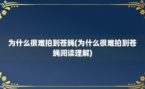 为什么很难拍到苍蝇(为什么很难拍到苍蝇阅读理解)