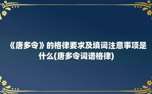 《唐多令》的格律要求及填词注意事项是什么(唐多令词谱格律)