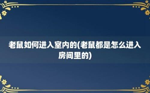 老鼠如何进入室内的(老鼠都是怎么进入房间里的)