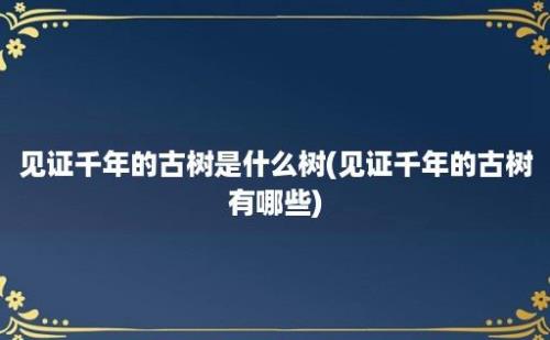 见证千年的古树是什么树(见证千年的古树有哪些)