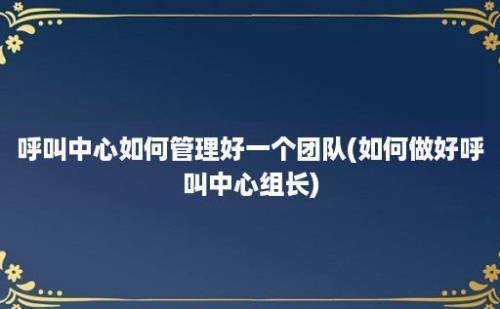 呼叫中心如何管理好一个团队(如何做好呼叫中心组长)