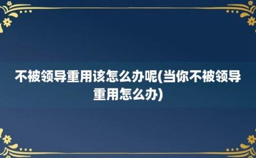 不被领导重用该怎么办呢(当你不被领导重用怎么办)