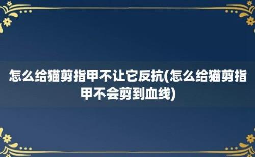 怎么给猫剪指甲不让它反抗(怎么给猫剪指甲不会剪到血线)