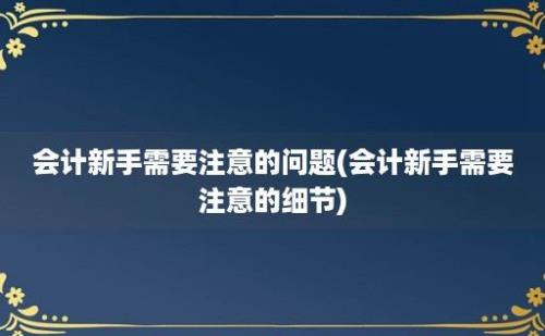 会计新手需要注意的问题(会计新手需要注意的细节)