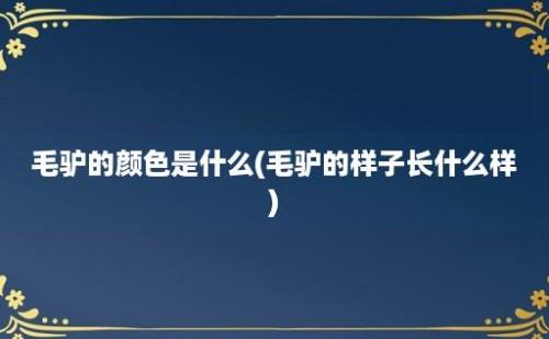 毛驴的颜色是什么(毛驴的样子长什么样)