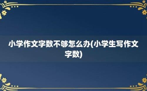 小学作文字数不够怎么办(小学生写作文字数)