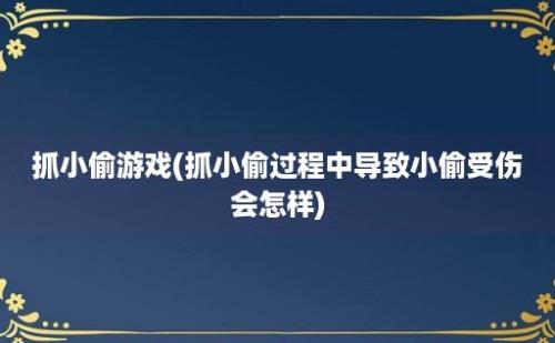 抓小偷游戏(抓小偷过程中导致小偷受伤会怎样)