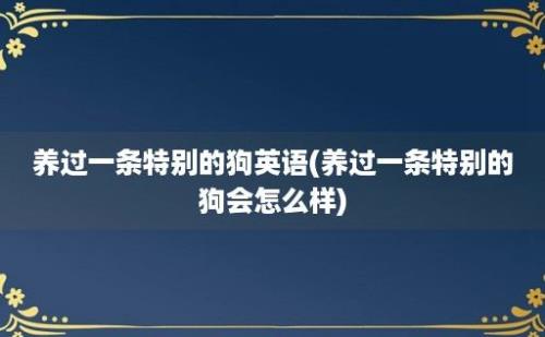 养过一条特别的狗英语(养过一条特别的狗会怎么样)