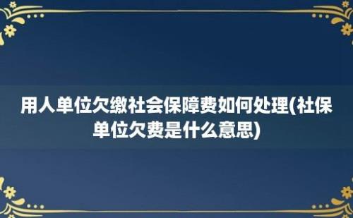 用人单位欠缴社会保障费如何处理(社保单位欠费是什么意思)