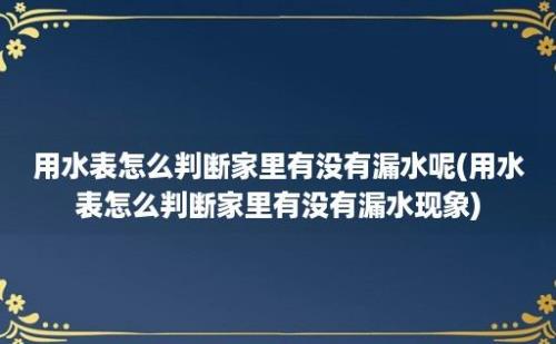 用水表怎么判断家里有没有漏水呢(用水表怎么判断家里有没有漏水现象)