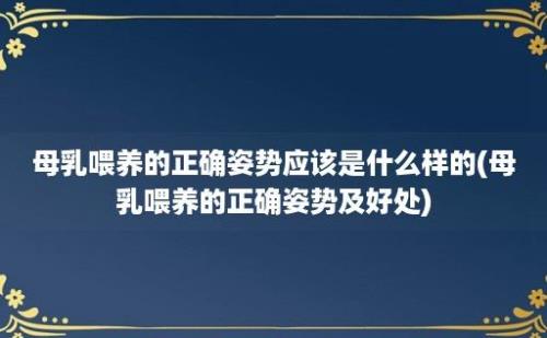 母乳喂养的正确姿势应该是什么样的(母乳喂养的正确姿势及好处)