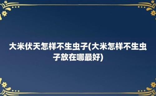 大米伏天怎样不生虫子(大米怎样不生虫子放在哪最好)