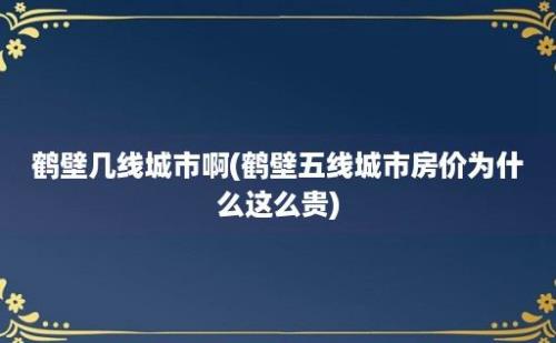 鹤壁几线城市啊(鹤壁五线城市房价为什么这么贵)