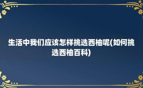 生活中我们应该怎样挑选西柚呢(如何挑选西柚百科)