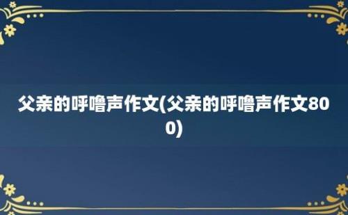 父亲的呼噜声作文(父亲的呼噜声作文800)