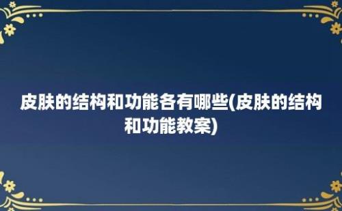 皮肤的结构和功能各有哪些(皮肤的结构和功能教案)