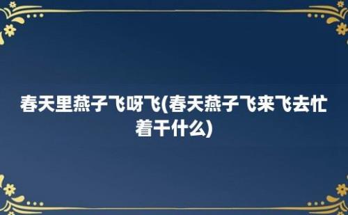 春天里燕子飞呀飞(春天燕子飞来飞去忙着干什么)