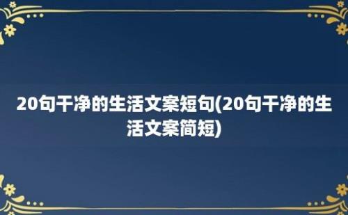 20句干净的生活文案短句(20句干净的生活文案简短)