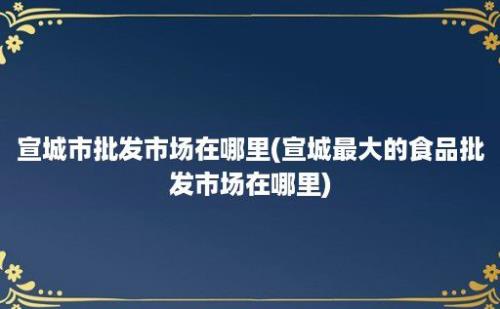 宣城市批发市场在哪里(宣城最大的食品批发市场在哪里)