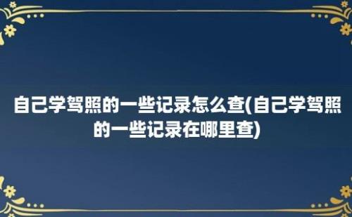 自己学驾照的一些记录怎么查(自己学驾照的一些记录在哪里查)