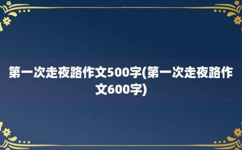 第一次走夜路作文500字(第一次走夜路作文600字)