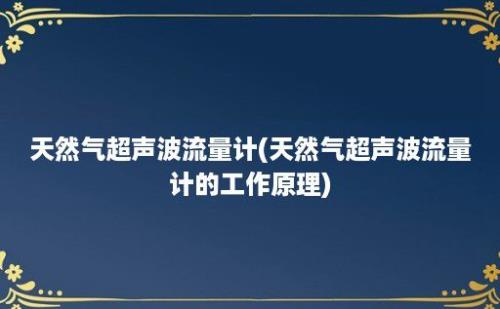 天然气超声波流量计(天然气超声波流量计的工作原理)