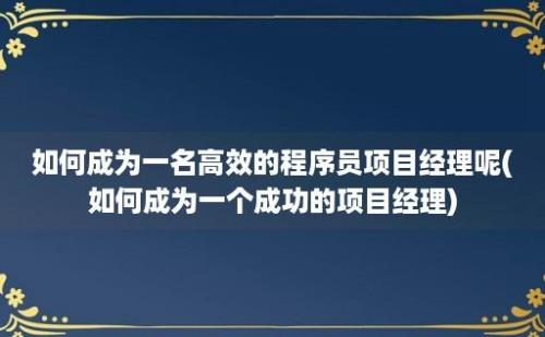 如何成为一名高效的程序员项目经理呢(如何成为一个成功的项目经理)