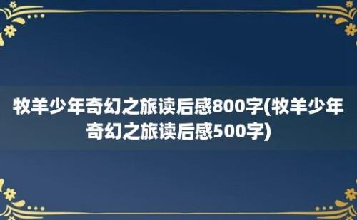 牧羊少年奇幻之旅读后感800字(牧羊少年奇幻之旅读后感500字)