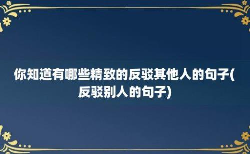 你知道有哪些精致的反驳其他人的句子(反驳别人的句子)