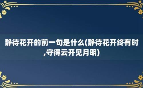 静待花开的前一句是什么(静待花开终有时,守得云开见月明)