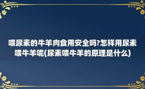 喂尿素的牛羊肉食用安全吗?怎样用尿素喂牛羊呢(尿素喂牛羊的原理是什么)