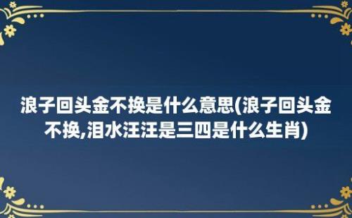 浪子回头金不换是什么意思(浪子回头金不换,泪水汪汪是三四是什么生肖)