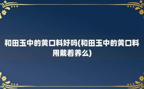 和田玉中的黄口料好吗(和田玉中的黄口料用戴着养么)