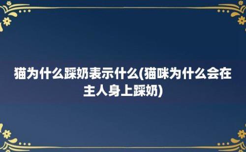 猫为什么踩奶表示什么(猫咪为什么会在主人身上踩奶)