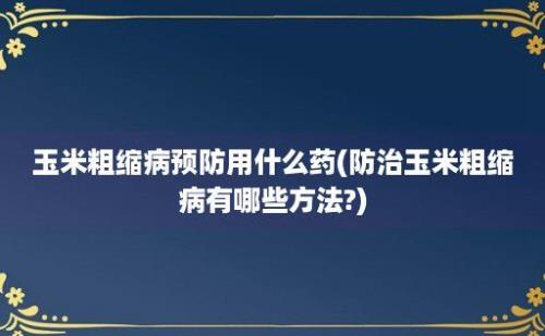 玉米粗缩病预防用什么药(防治玉米粗缩病有哪些方法?)