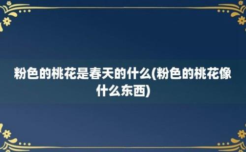 粉色的桃花是春天的什么(粉色的桃花像什么东西)