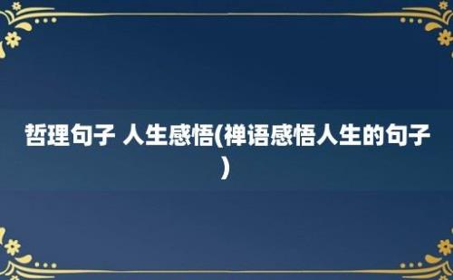 哲理句子 人生感悟(禅语感悟人生的句子)