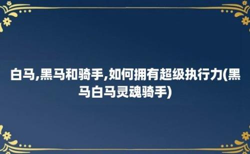 白马,黑马和骑手,如何拥有超级执行力(黑马白马灵魂骑手)