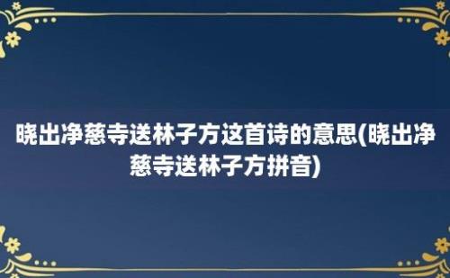 晓出净慈寺送林子方这首诗的意思(晓出净慈寺送林子方拼音)