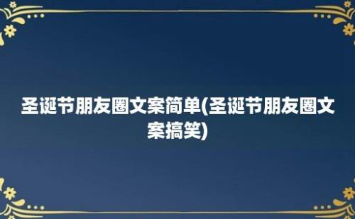 圣诞节朋友圈文案简单(圣诞节朋友圈文案搞笑)