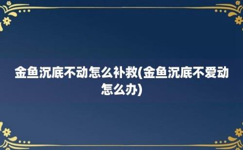 金鱼沉底不动怎么补救(金鱼沉底不爱动怎么办)