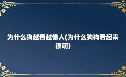 为什么狗越看越像人(为什么狗狗看起来很萌)