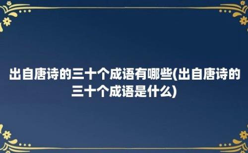 出自唐诗的三十个成语有哪些(出自唐诗的三十个成语是什么)