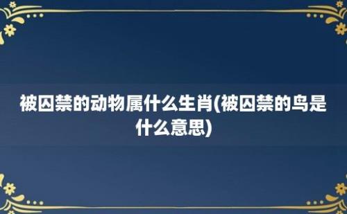 被囚禁的动物属什么生肖(被囚禁的鸟是什么意思)