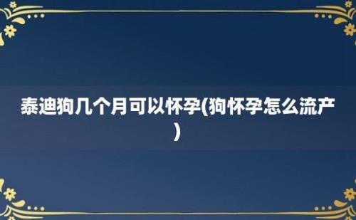 泰迪狗几个月可以怀孕(狗怀孕怎么流产)