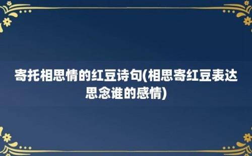 寄托相思情的红豆诗句(相思寄红豆表达思念谁的感情)