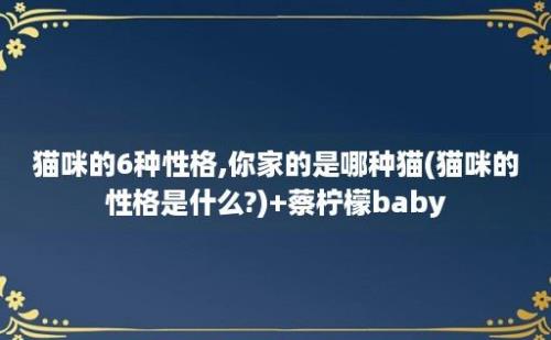 猫咪的6种性格,你家的是哪种猫(猫咪的性格是什么?)+蔡柠檬baby