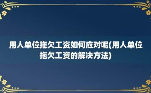 用人单位拖欠工资如何应对呢(用人单位拖欠工资的解决方法)