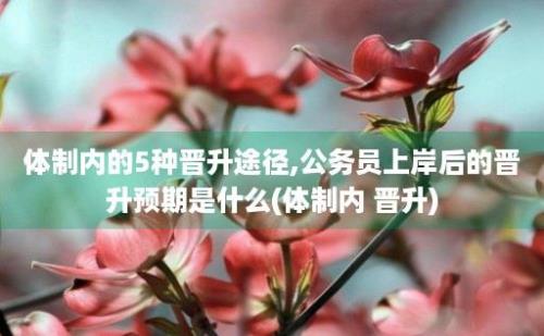 体制内的5种晋升途径,公务员上岸后的晋升预期是什么(体制内 晋升)